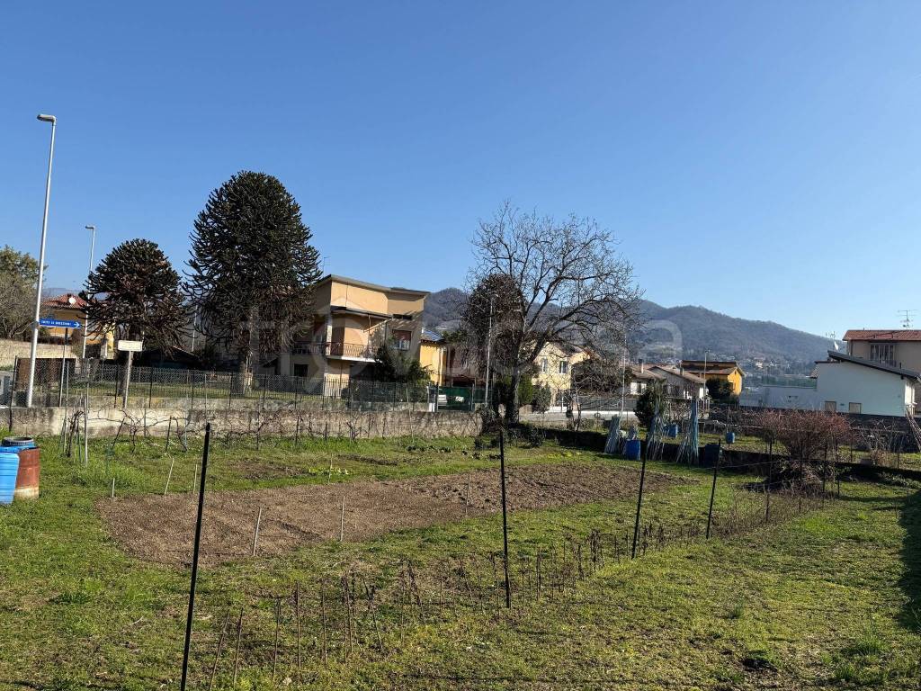 immagine annuncio 1 di 4