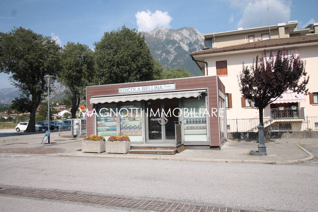 immagine annuncio 1 di 6