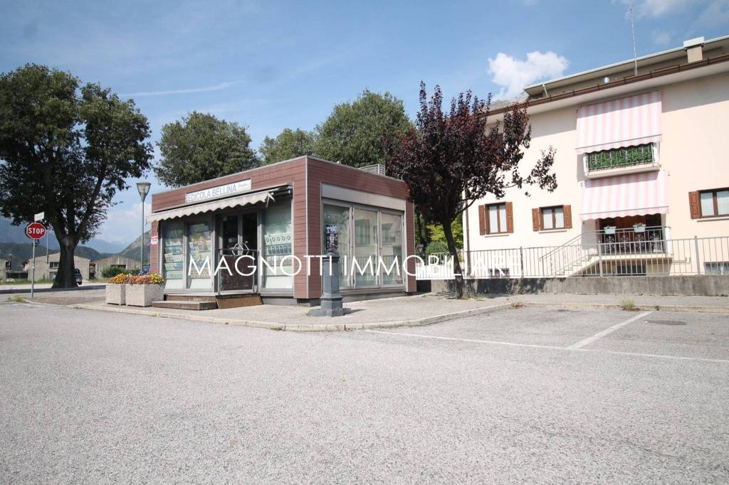 immagine annuncio 2 di 6