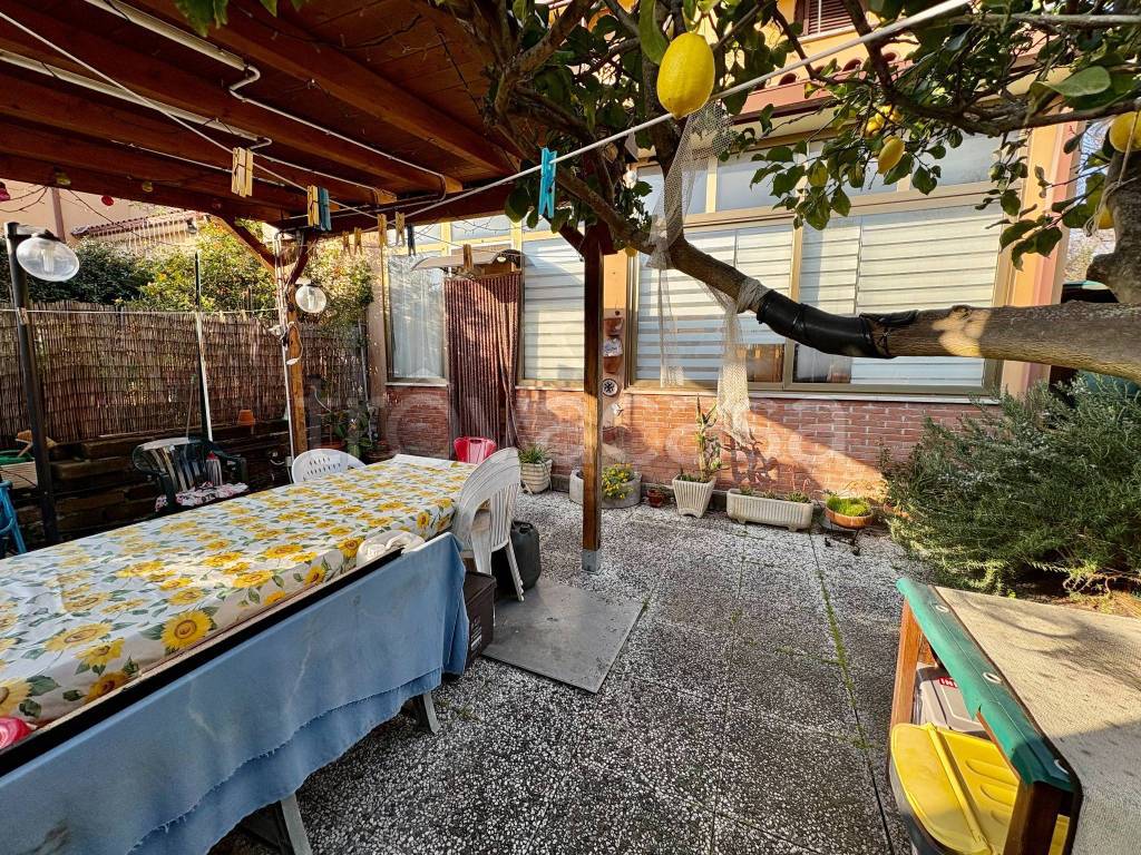 immagine annuncio 10 di 15