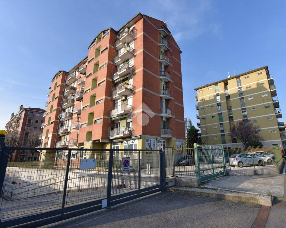 immagine annuncio 10 di 13