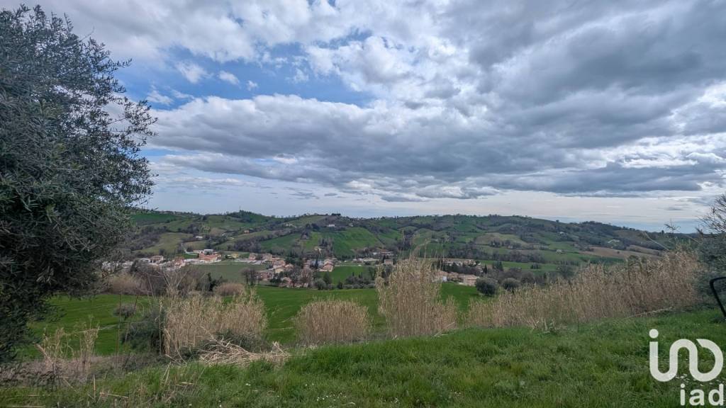 immagine annuncio 6 di 8
