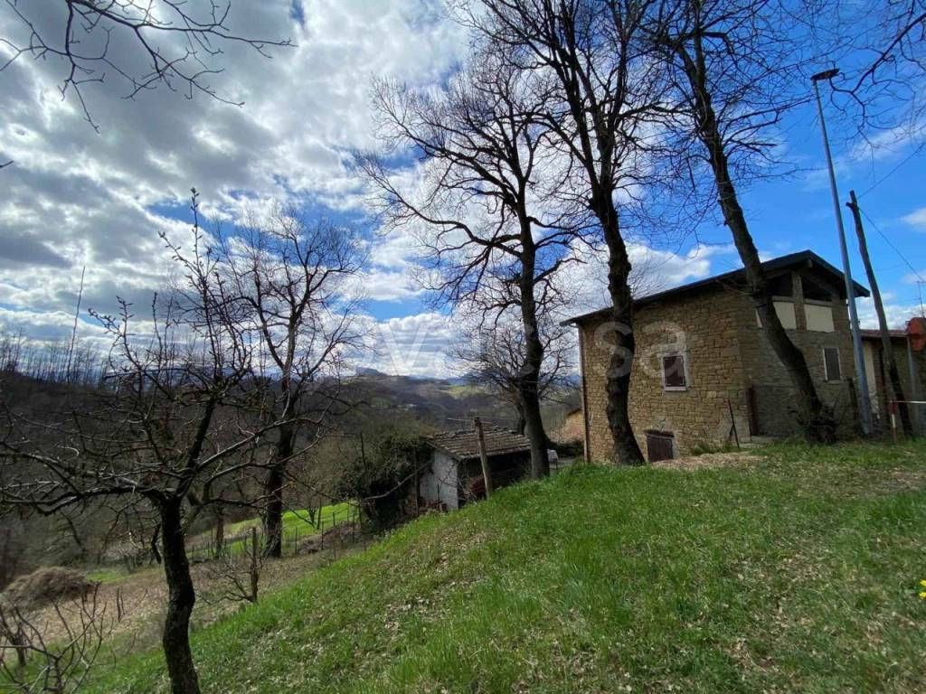 immagine annuncio 5 di 12