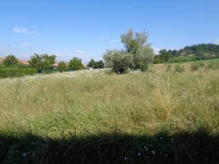 Terreno residenziale in vendita a bra strada bria