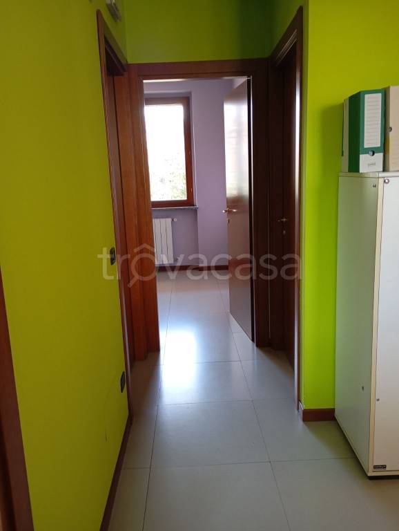 immagine annuncio 5 di 7