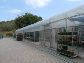 Terreno agricolo in vendita ad ancona contrada casine di paterno