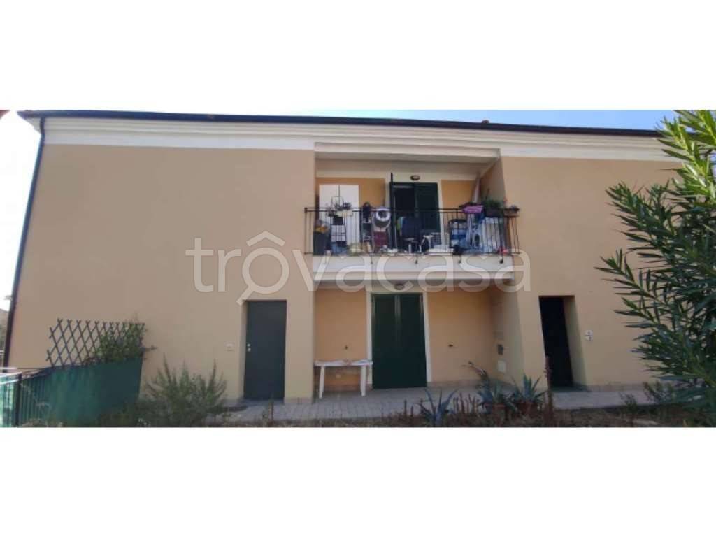 immagine annuncio 5 di 12