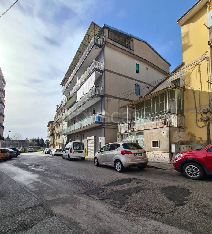 immagine annuncio 1 di 9