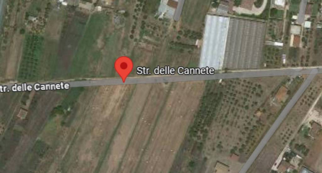 immagine annuncio 9 di 11