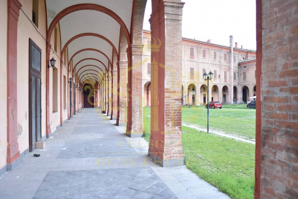 immagine annuncio 2 di 14