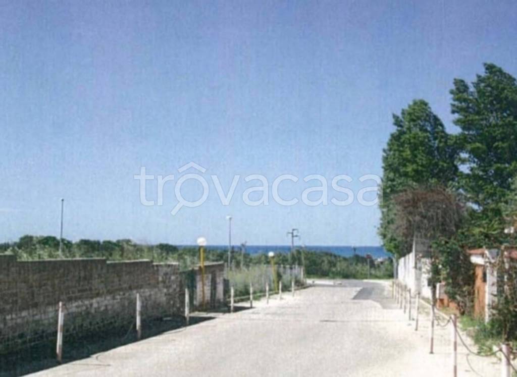 immagine annuncio 11 di 13
