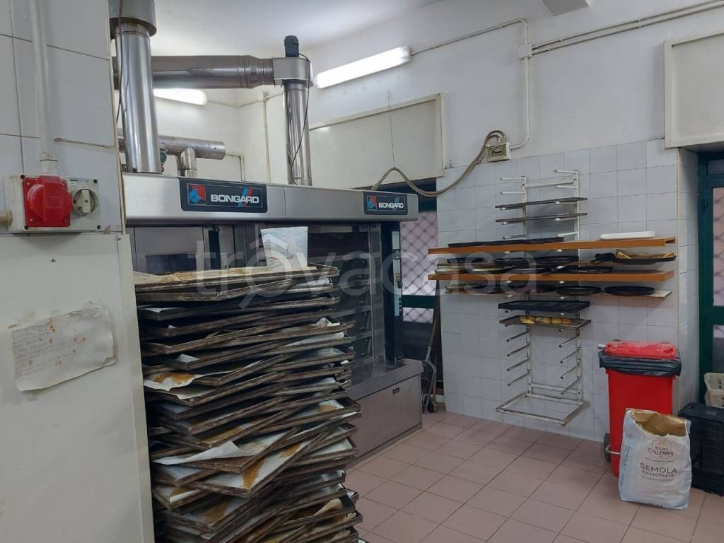 immagine annuncio 1 di 7