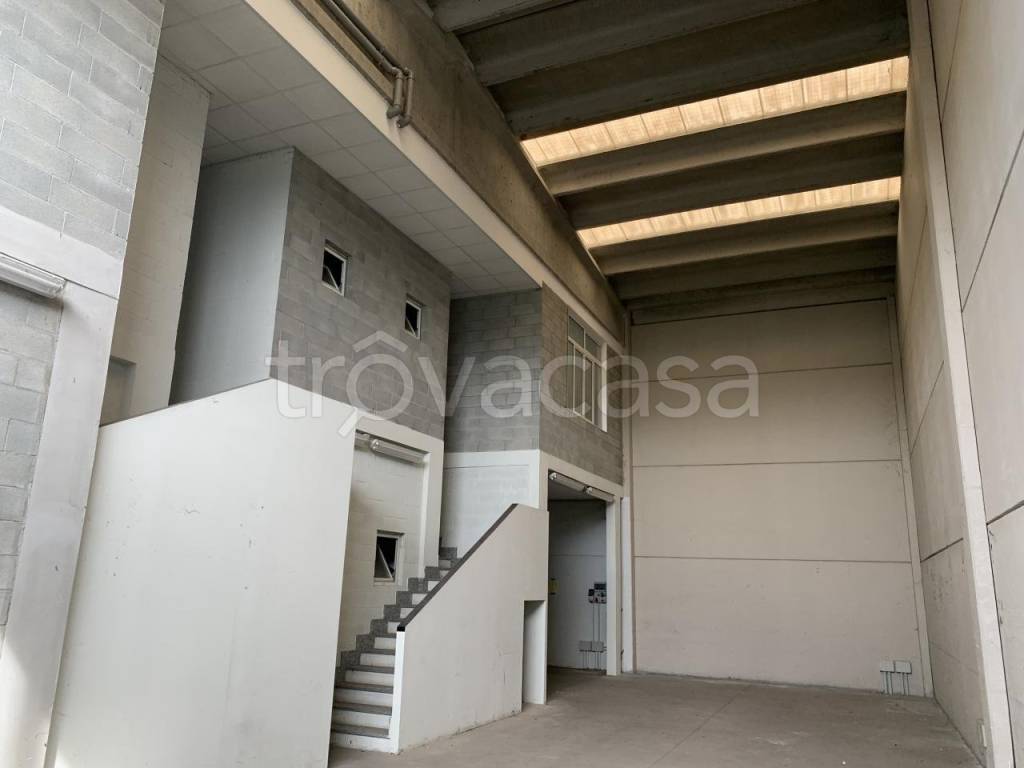 immagine annuncio 2 di 6