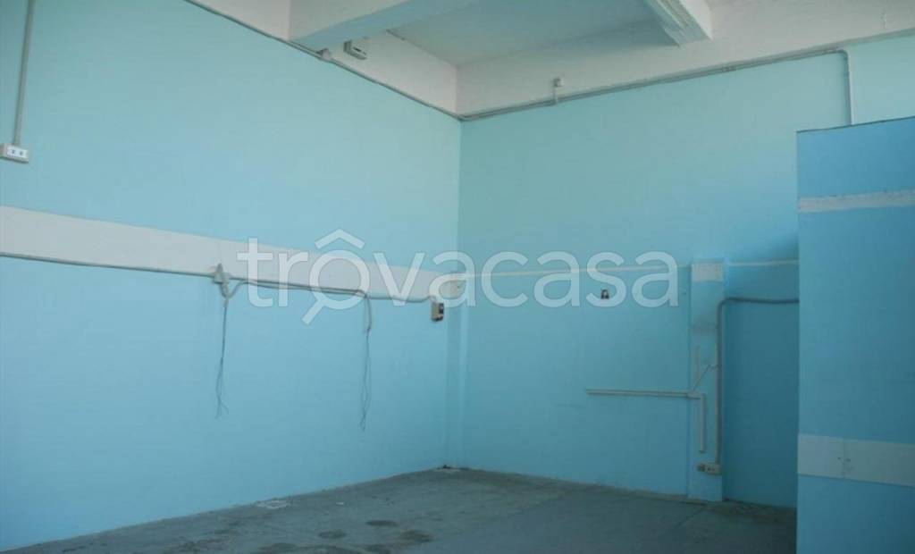 immagine annuncio 5 di 8
