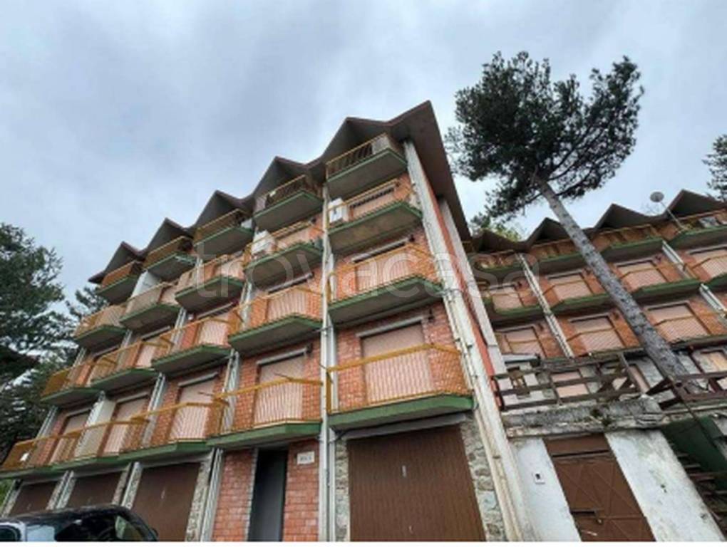 immagine annuncio 7 di 13