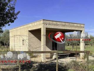 Terreno agricolo all'asta a conversano via martucci