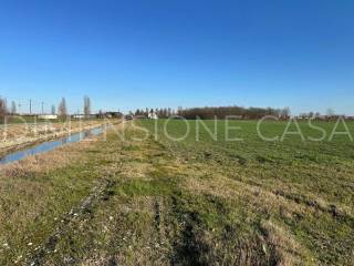 Terreno agricolo in vendita a mirandola 