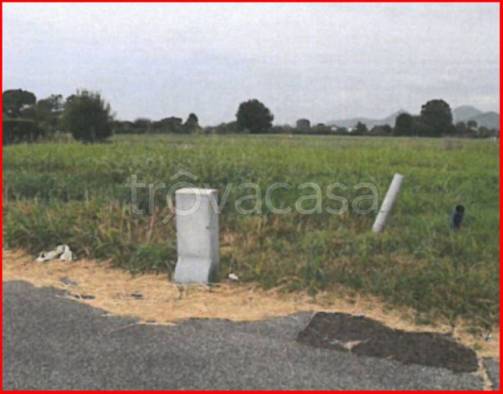 immagine annuncio 10 di 11