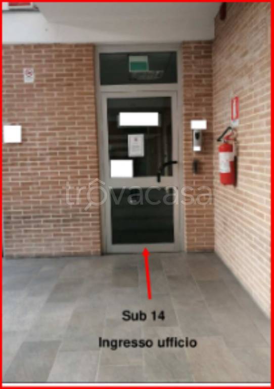 immagine annuncio 5 di 11