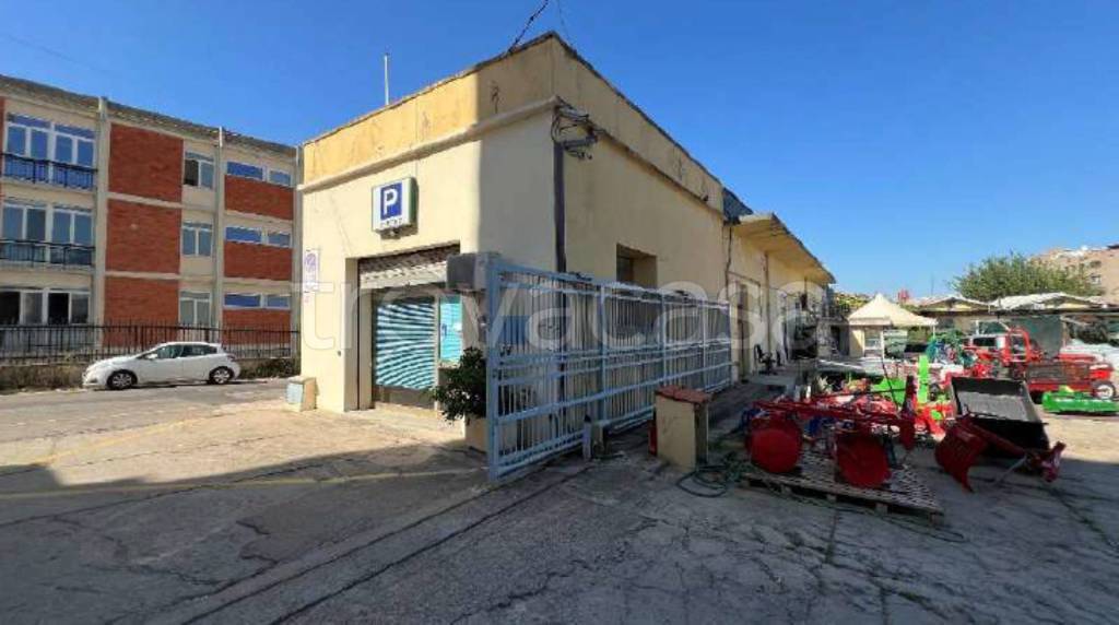 immagine annuncio 4 di 14