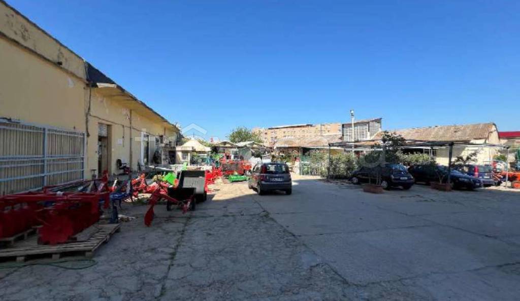 immagine annuncio 5 di 14
