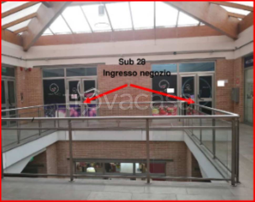 immagine annuncio 3 di 12