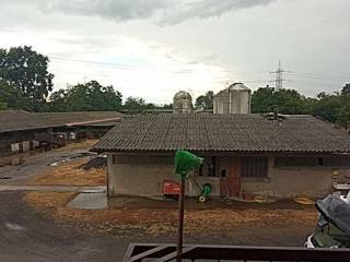 Azienda agricola all'asta a gropello cairoli via vigevano