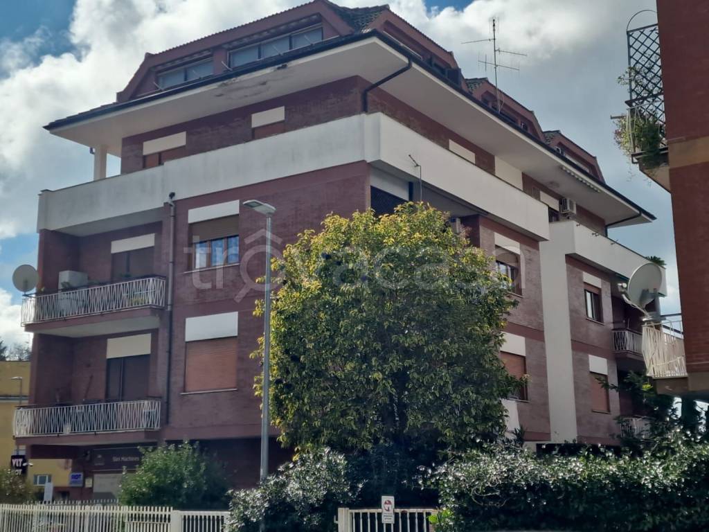 immagine annuncio 1 di 12