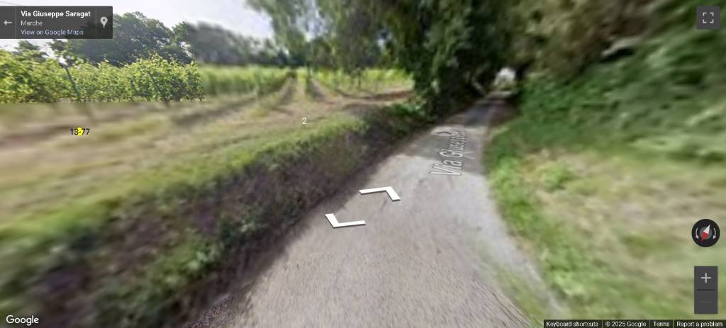 immagine annuncio 6 di 13