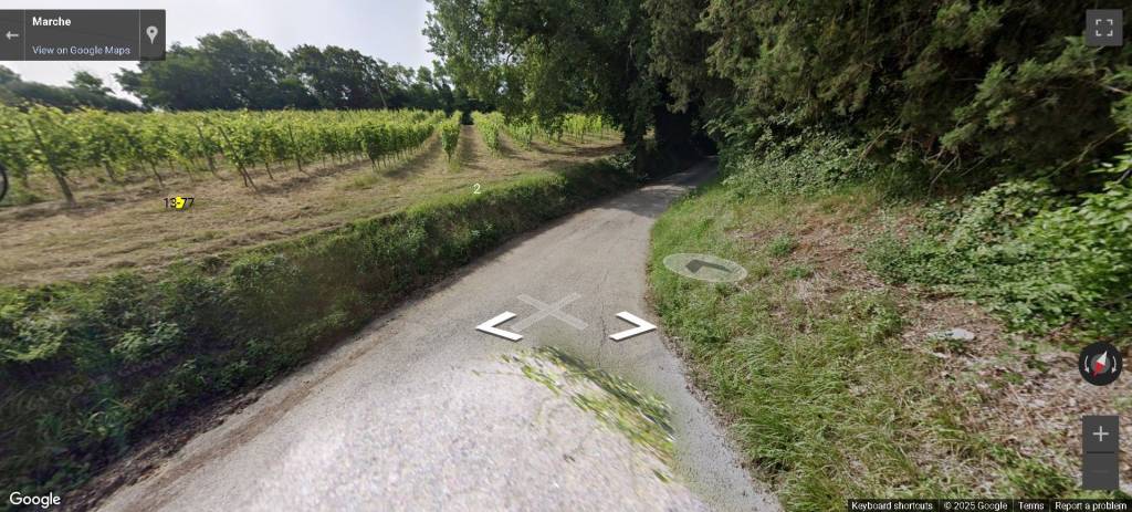 immagine annuncio 7 di 13