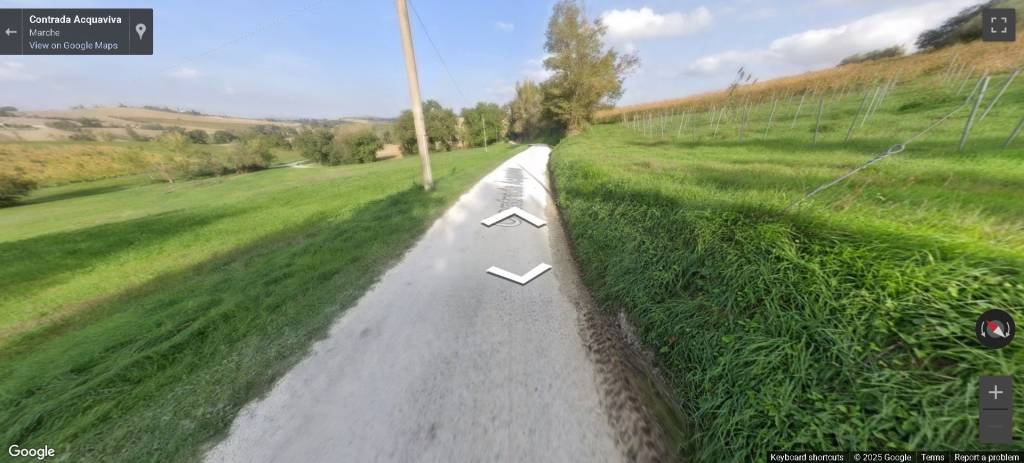 immagine annuncio 10 di 13