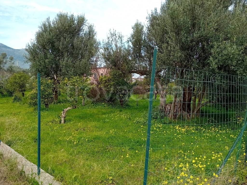 immagine annuncio 3 di 7