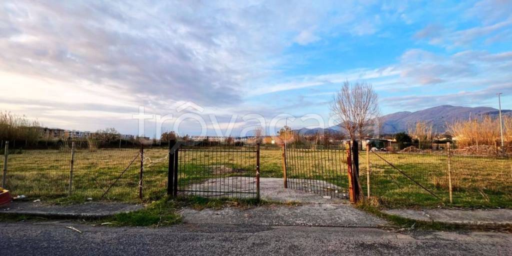 terreno agricolo in vendita a Scalea