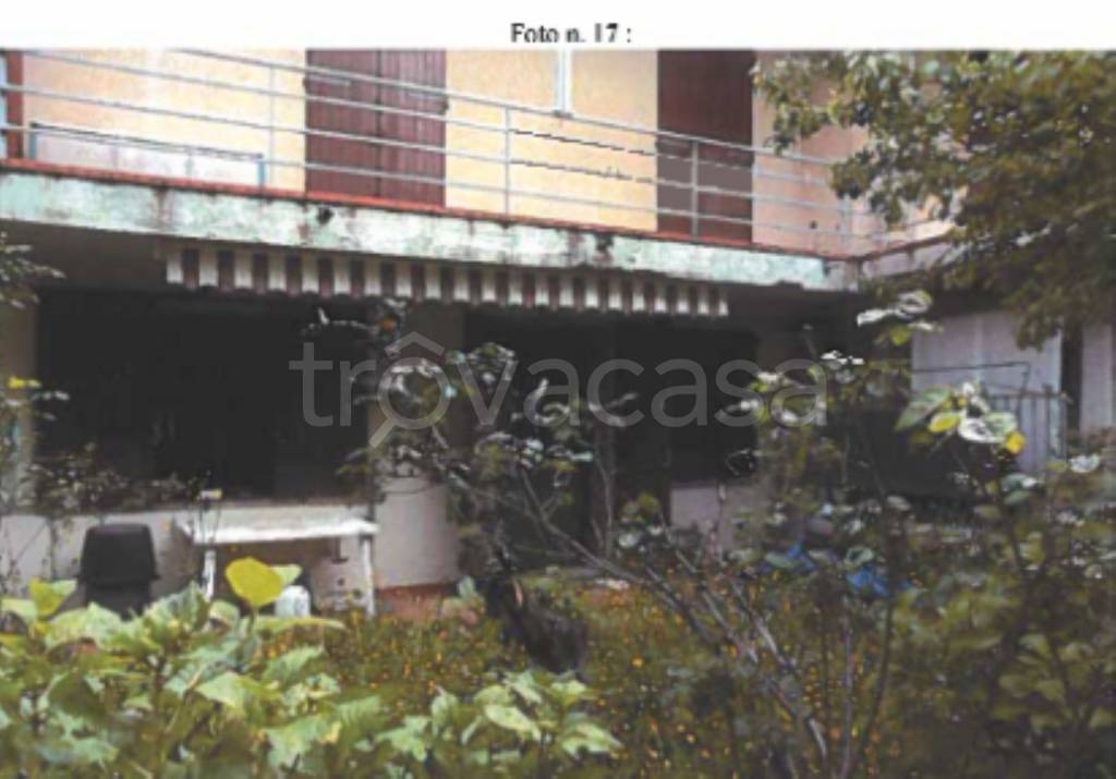 immagine annuncio 7 di 14