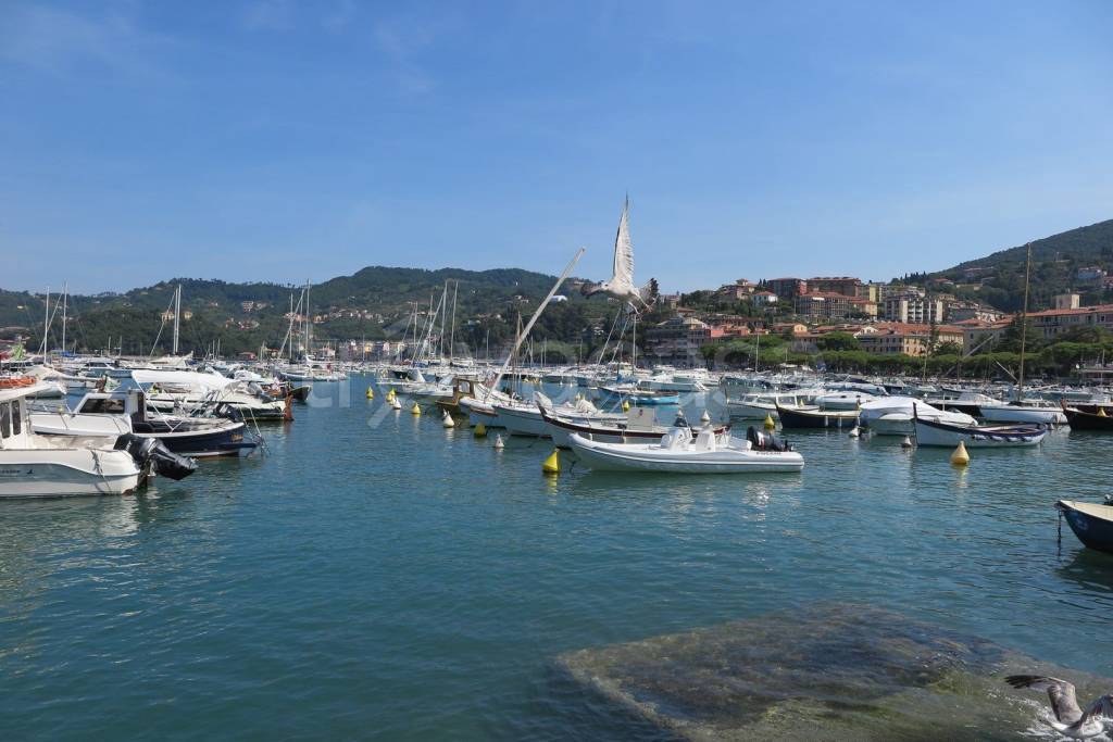 immagine annuncio 7 di 8