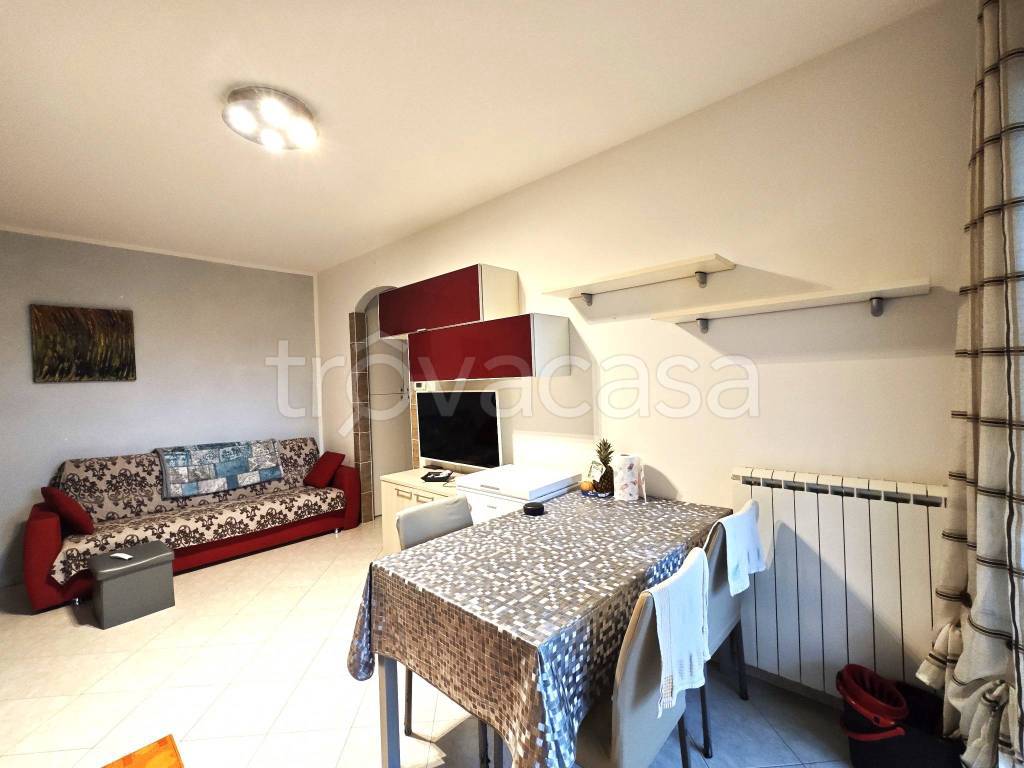 immagine annuncio 4 di 14