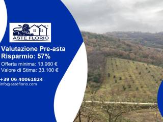 Terreno agricolo all'asta a venarotta frazione ulibra