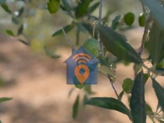 Terreno agricolo in vendita a partinico contrada margi sottano