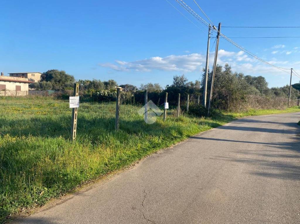 immagine annuncio 5 di 11