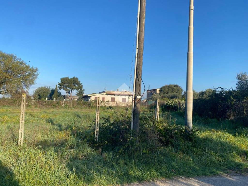 immagine annuncio 6 di 11