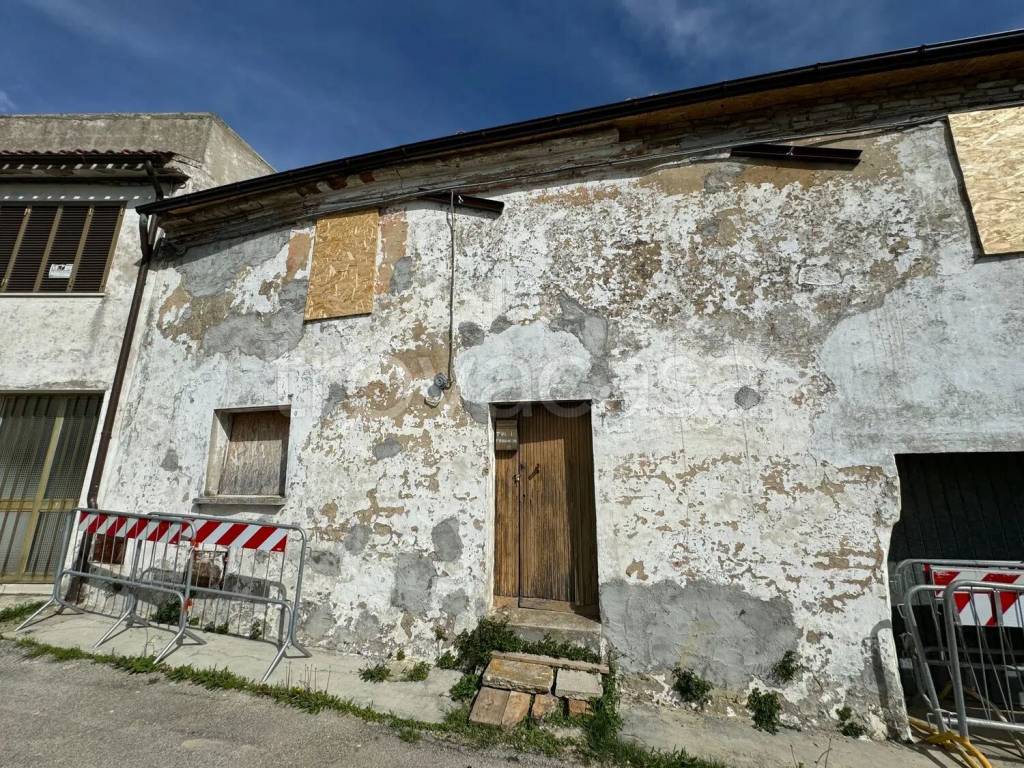 immagine annuncio 3 di 11