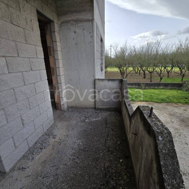 immagine annuncio 4 di 6
