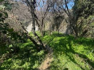 Terreno agricolo in vendita ad avegno via dei torchi, 15