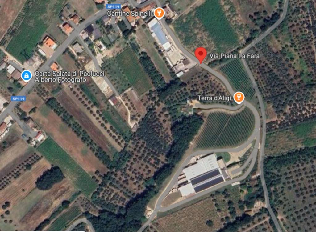 immagine annuncio 7 di 12
