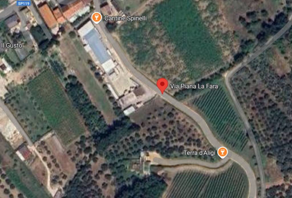 immagine annuncio 9 di 12