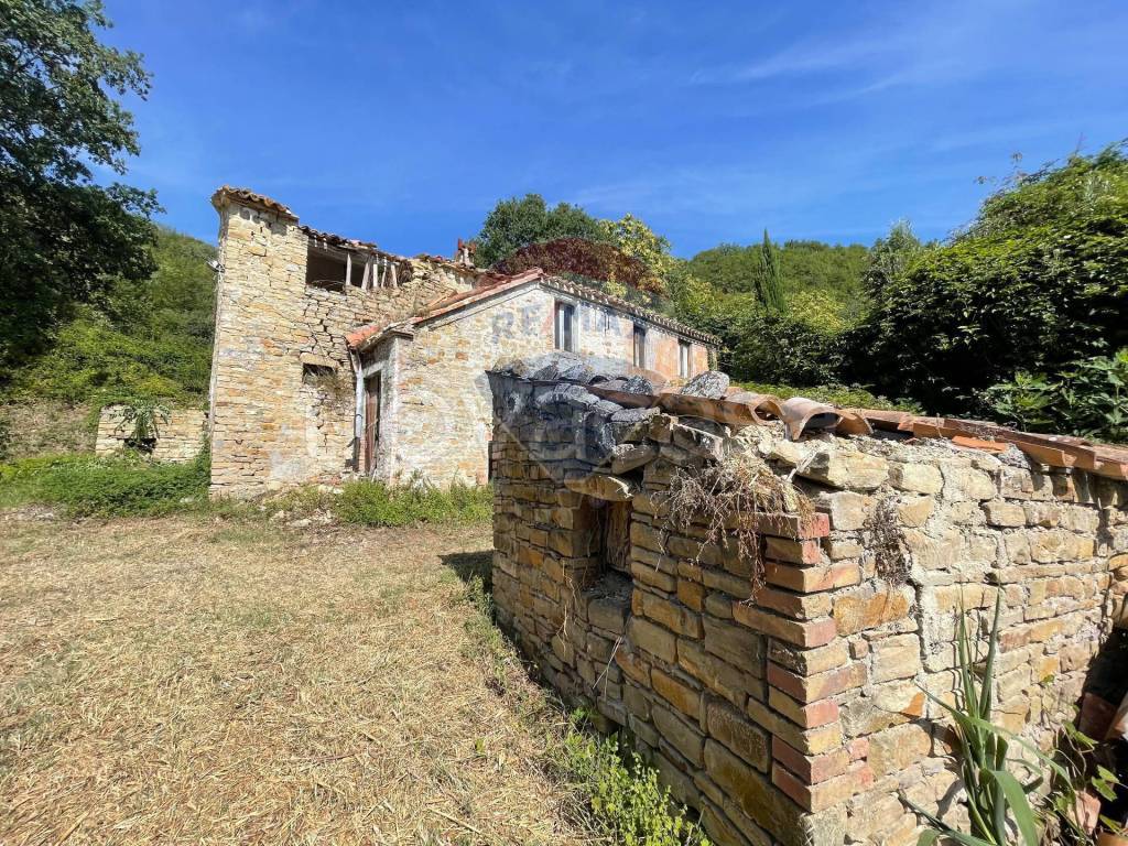 immagine annuncio 7 di 9