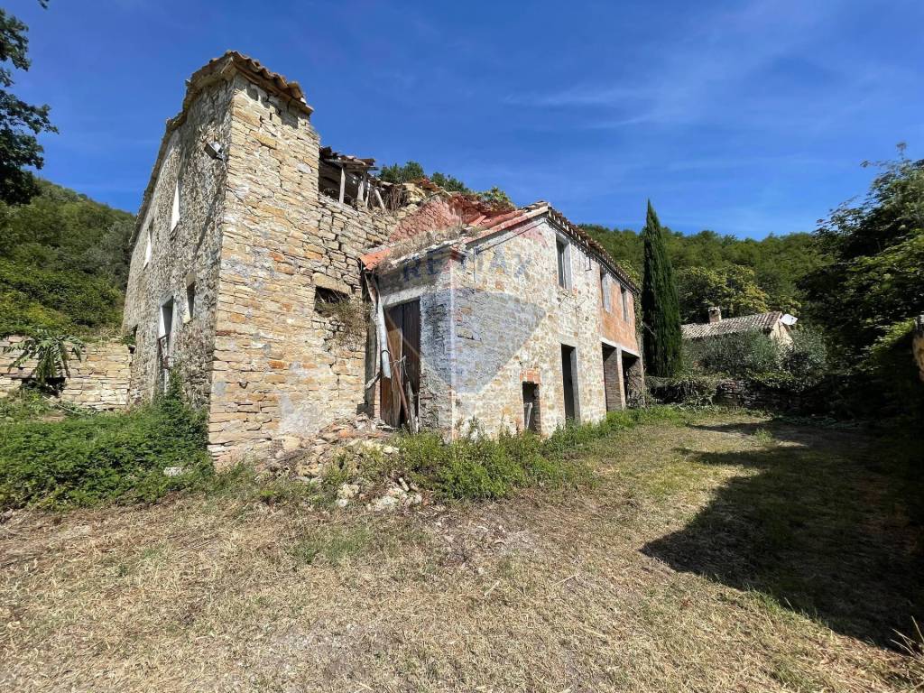 immagine annuncio 2 di 9