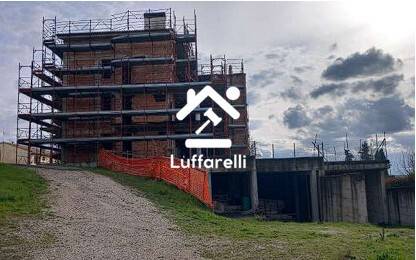 immagine annuncio 2 di 12
