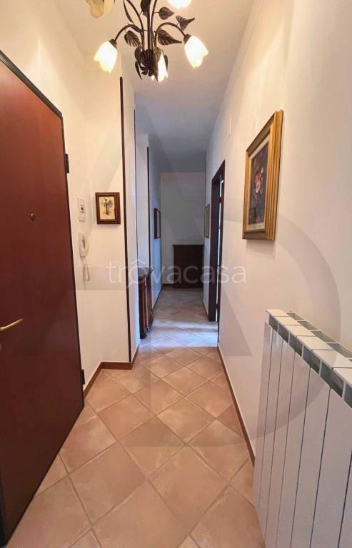 immagine annuncio 7 di 12