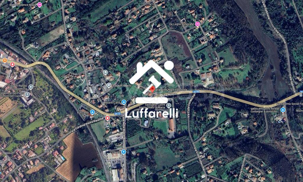 immagine annuncio 3 di 11